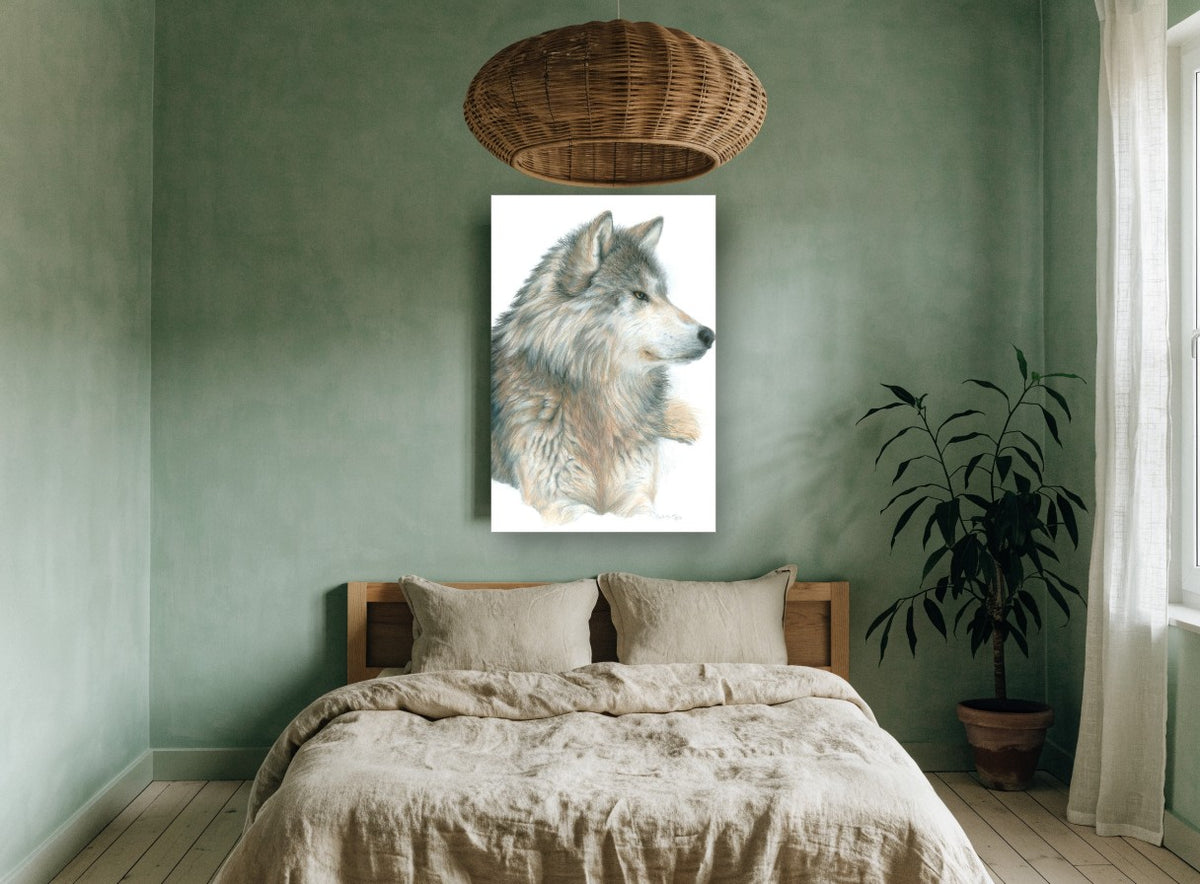 Watchful Grey Wolf animal canvas print on the wall of a bedroom