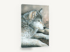 Dusk Rest Wolf, resting grey wolf pencil portrait, animal canvas wall art print ready to hang