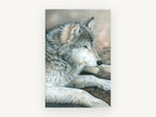 Dusk Rest Wolf, resting grey wolf pencil portrait, animal canvas wall art print, front view