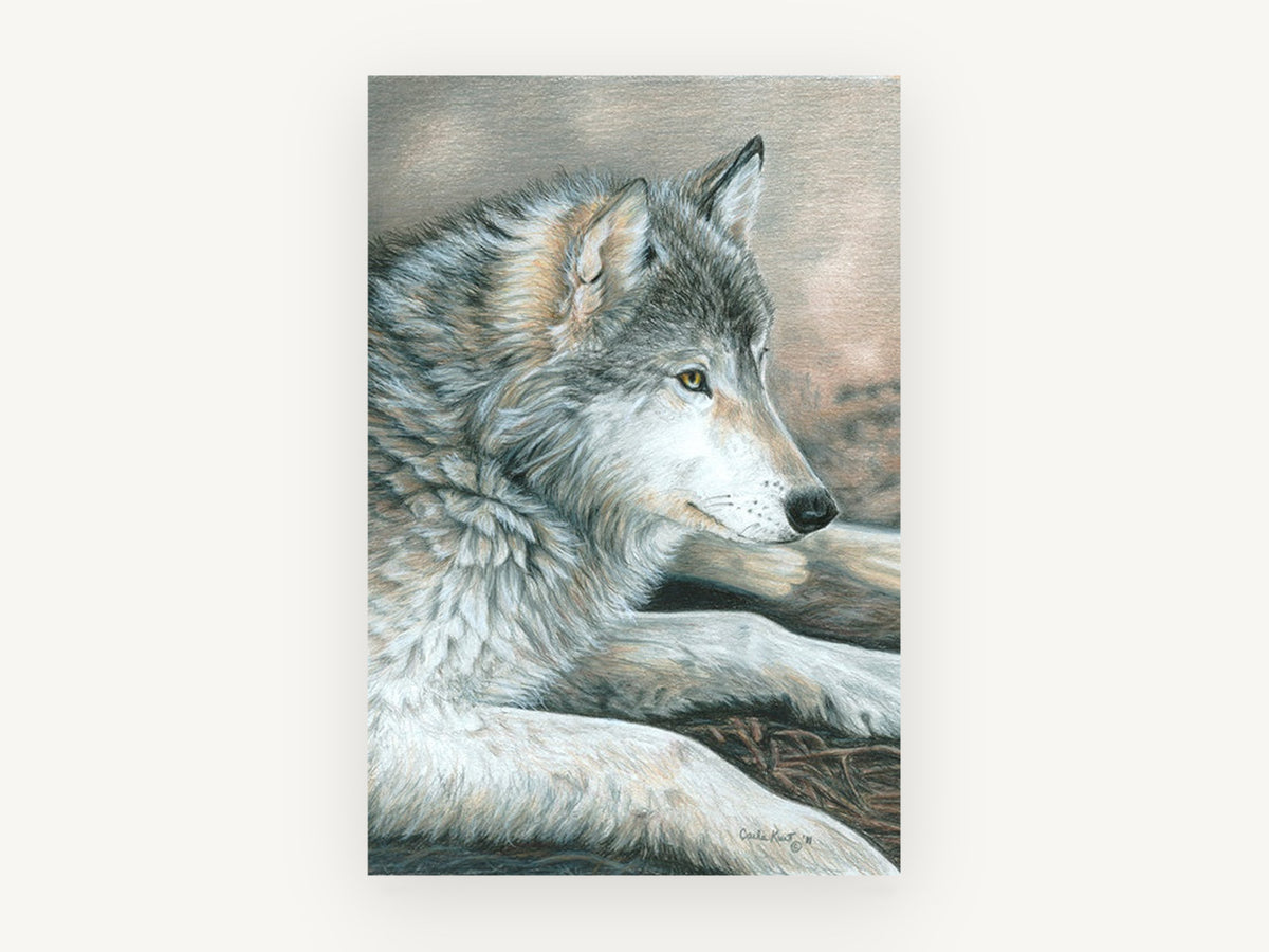 Dusk Rest Wolf, resting grey wolf pencil portrait, animal canvas wall art print, front view