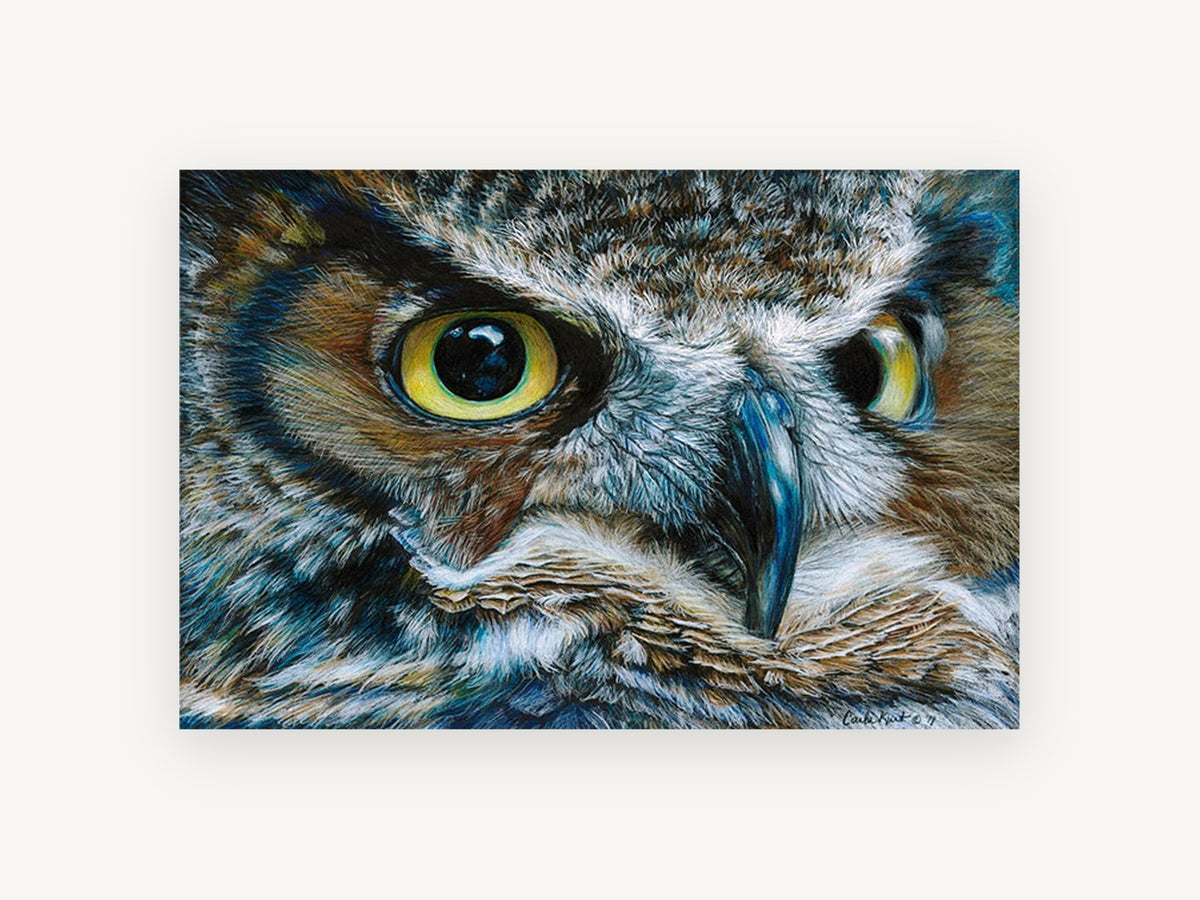 Watchful Horned Owl, owl close-up portrait illustration, animal canvas wall art print, front view
