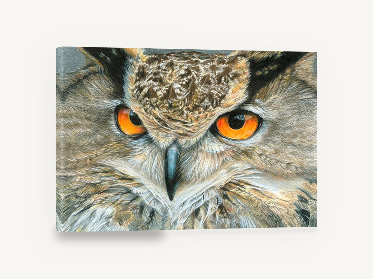 Amber Gaze Owl, orange-eyed owl pencil drawing, animal canvas wall art print ready to hang