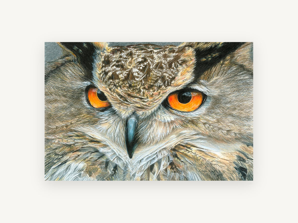 Amber Gaze Owl, orange-eyed owl pencil drawing, animal canvas wall art print, front view