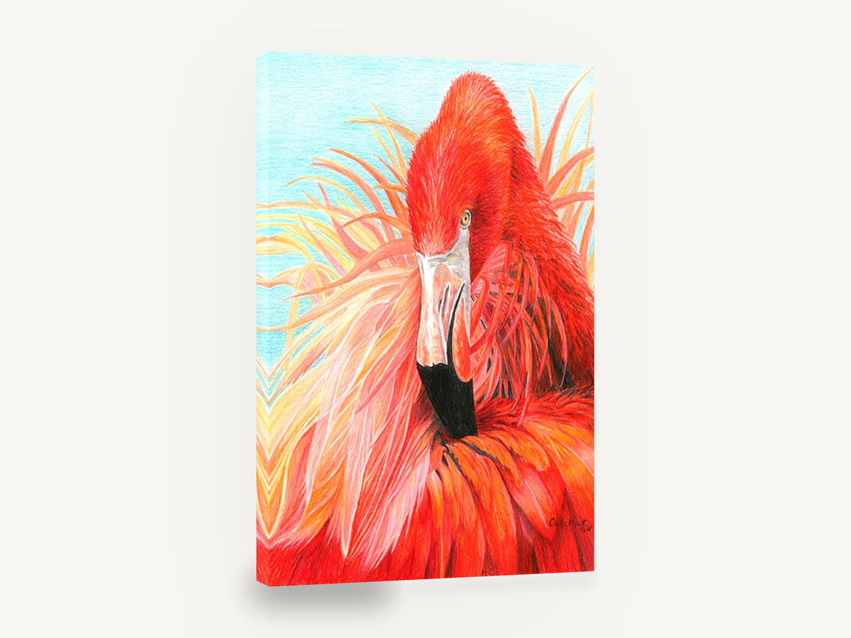 Ruffled Red Flamingo, red flamingo coloured pencil illustration, animal canvas wall art print ready to hang