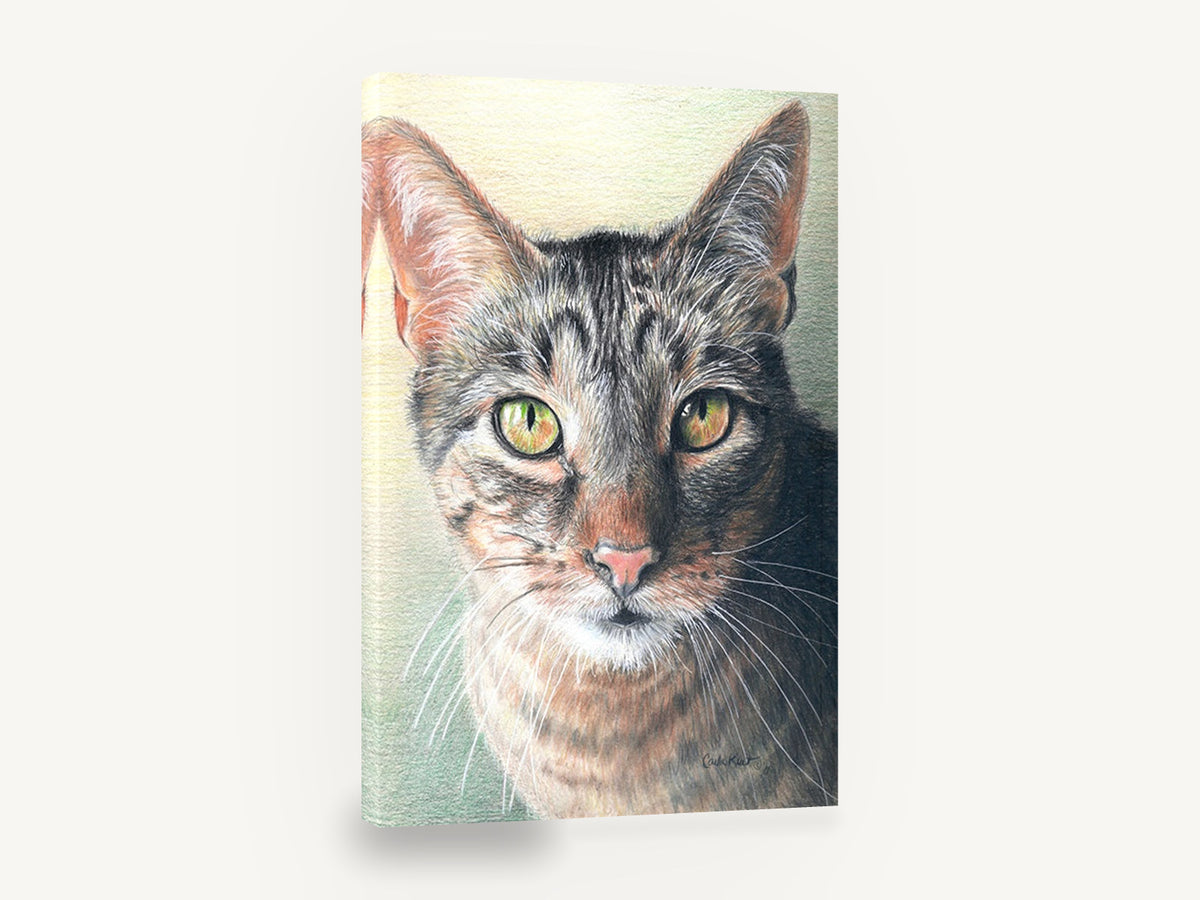 Green-Eyed Tabby Gaze, tabby cat portrait drawing, animal canvas wall art print ready to hang
