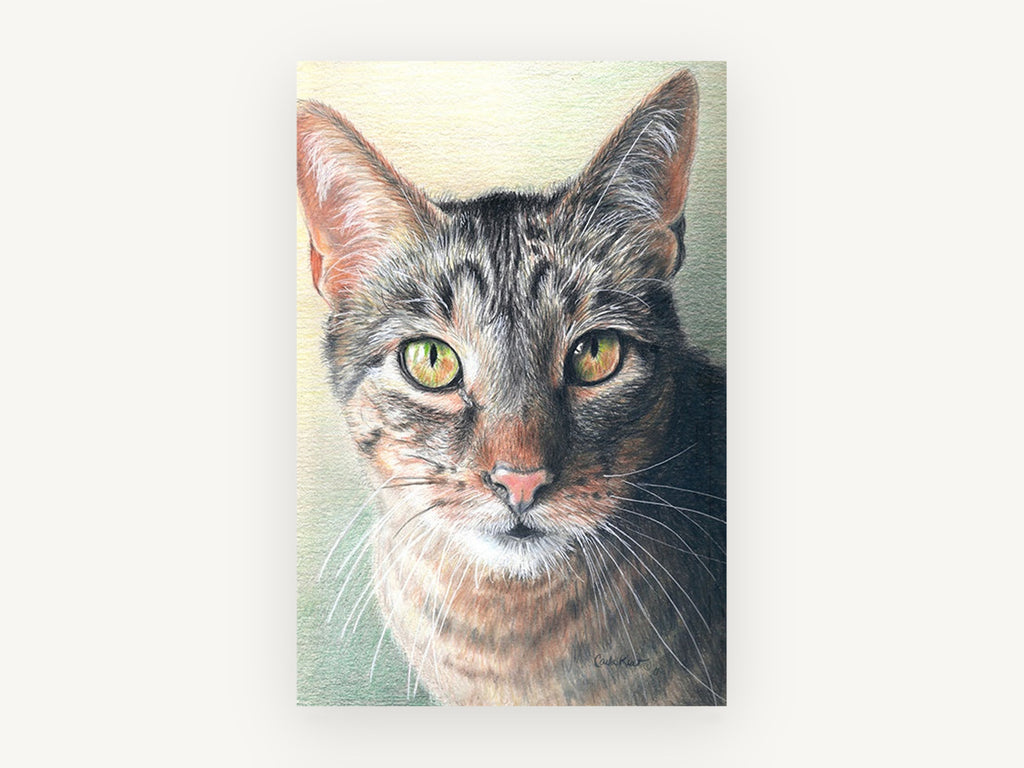 Green-Eyed Tabby Gaze, tabby cat portrait drawing, animal canvas wall art print, front view