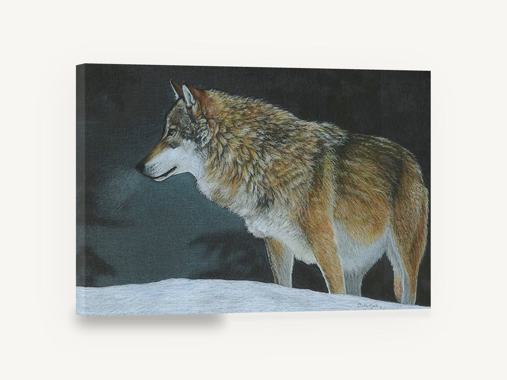 Wolf on Winter Snow, grey wolf winter night drawing, landscape canvas wall art print ready to hang