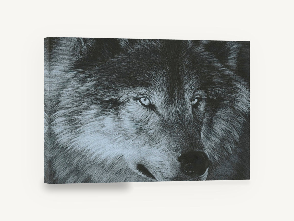 Grey Wolf Gaze, grey wolf portrait drawing, landscape canvas wall art print ready to hang