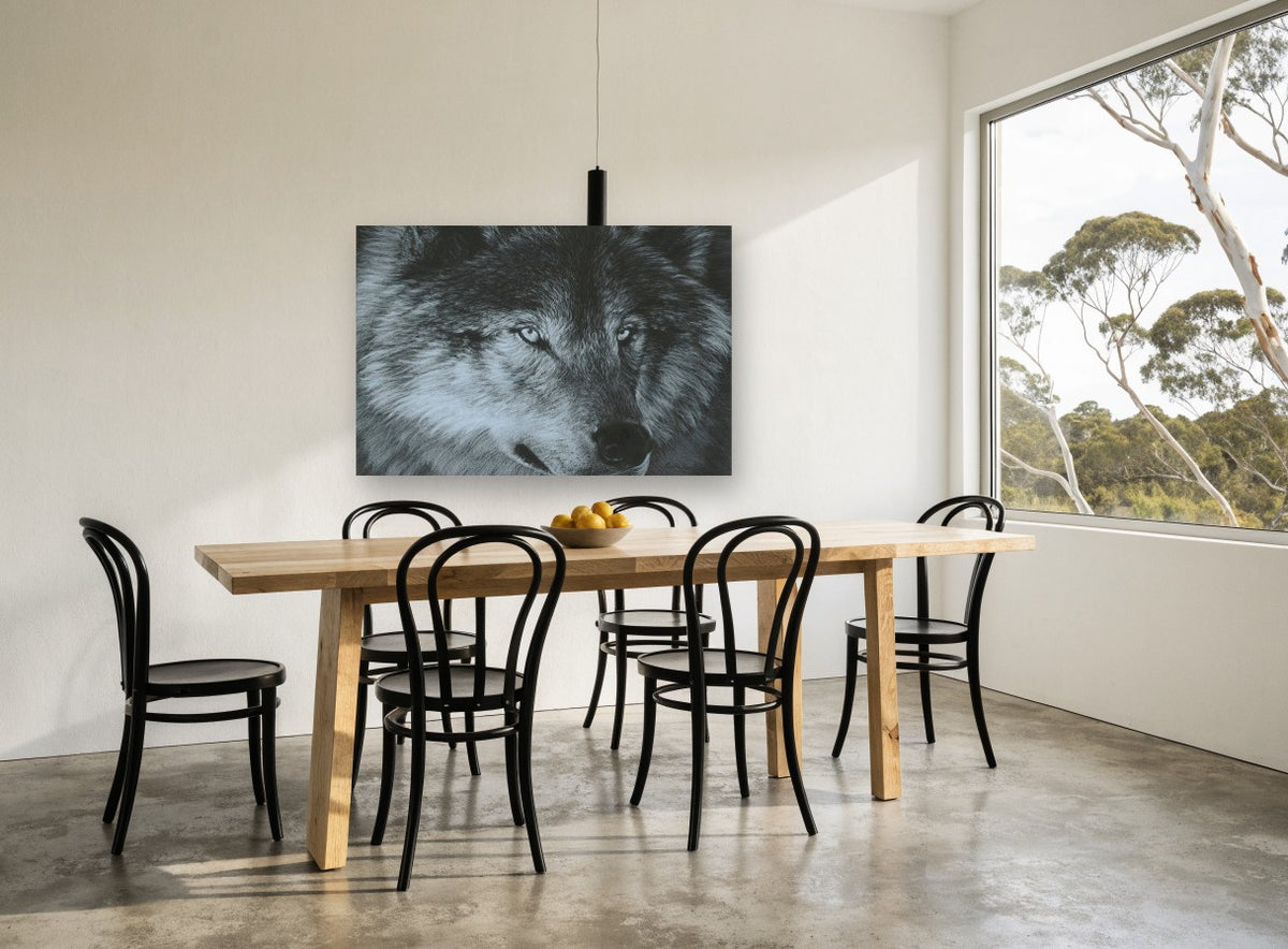 Grey Wolf Gaze landscape canvas print on the wall of a dining room