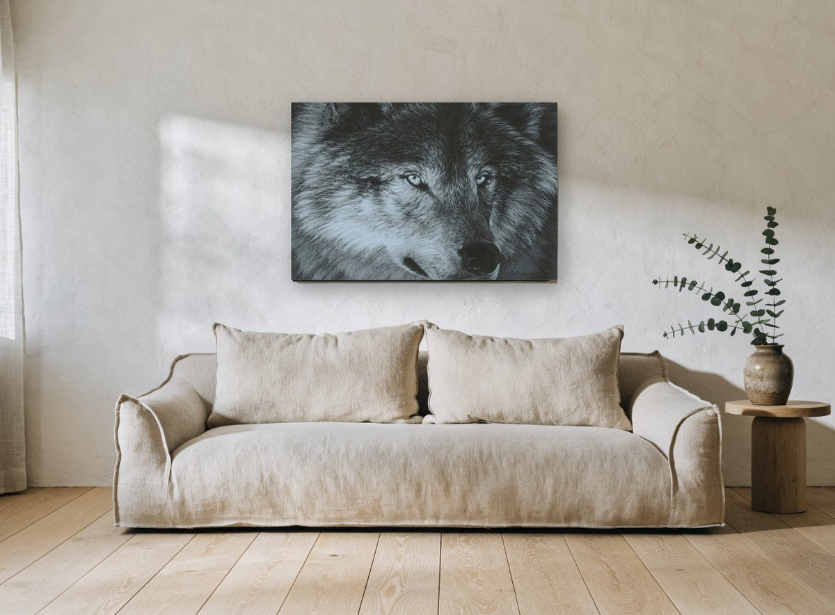 Grey Wolf Gaze landscape canvas print on the wall of a living room