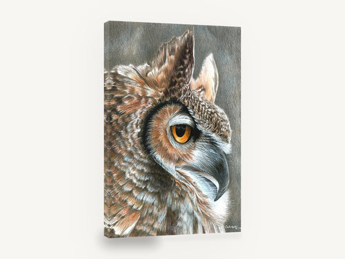 Amber Eyed Horned Owl, great horned owl profile drawing, animal canvas wall art print ready to hang