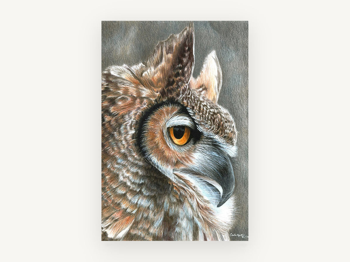 Amber Eyed Horned Owl, great horned owl profile drawing, animal canvas wall art print, front view