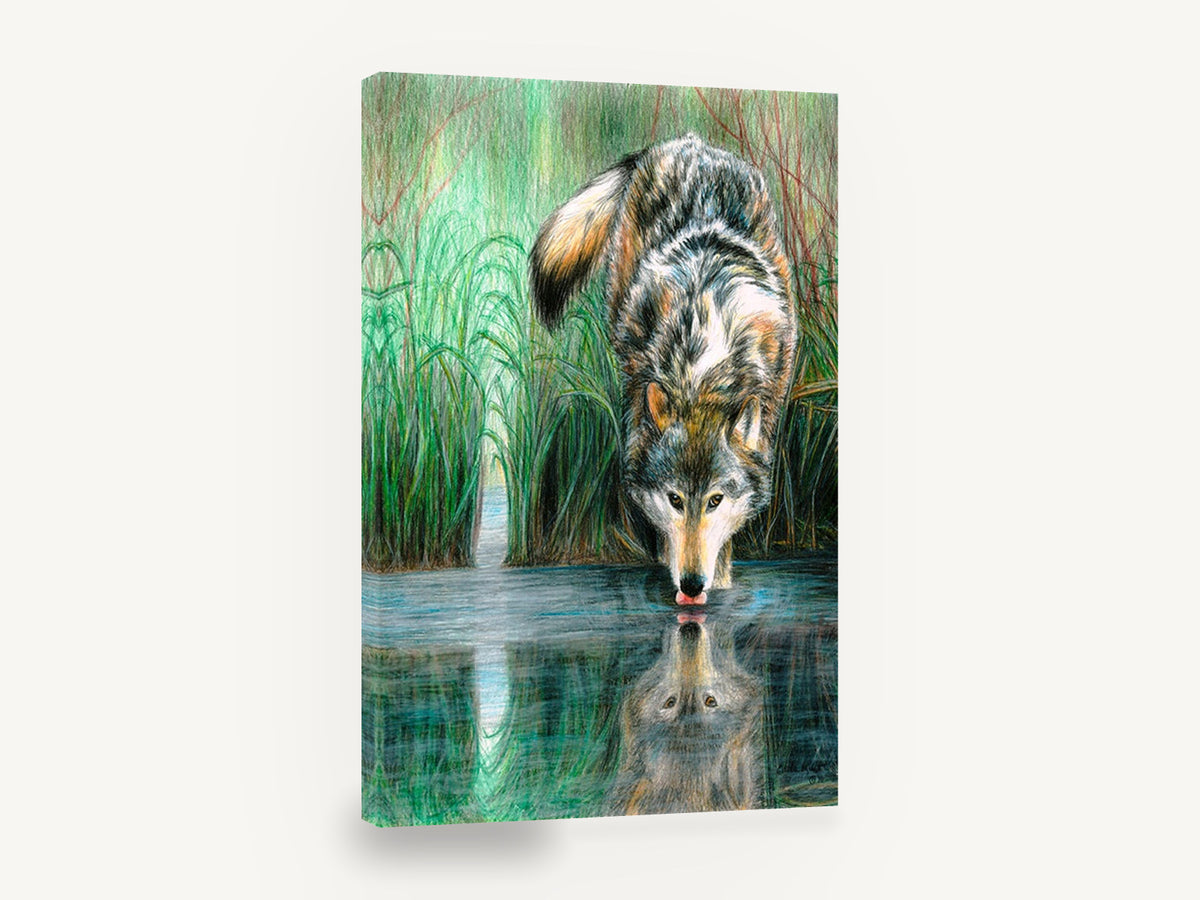 Wolf at the Water, wolf drinking water reflection drawing, landscape canvas wall art print ready to hang