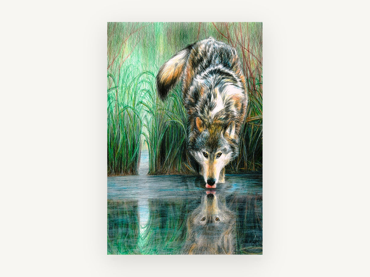 Wolf at the Water, wolf drinking water reflection drawing, landscape canvas wall art print, front view