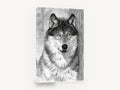 Watchful Grey Wolf, grey wolf pencil drawing portrait, animal canvas wall art print ready to hang
