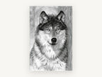 Watchful Grey Wolf, grey wolf pencil drawing portrait, animal canvas wall art print, front view