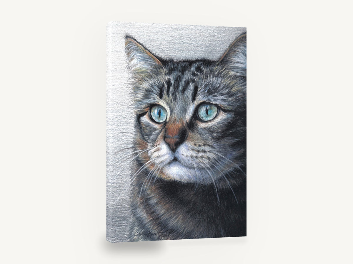 Pale Blue Gaze Tabby, tabby cat portrait drawing, animal canvas wall art print ready to hang