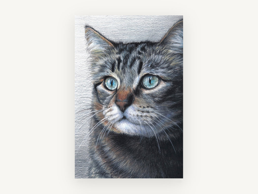Pale Blue Gaze Tabby, tabby cat portrait drawing, animal canvas wall art print, front view