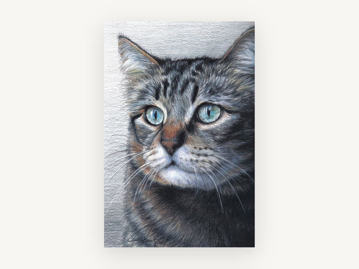 Pale Blue Gaze Tabby, tabby cat portrait drawing, animal canvas wall art print, front view