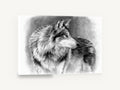 Silvered Wolf Backward Glance, wolf pencil drawing portrait, animal canvas wall art print ready to hang