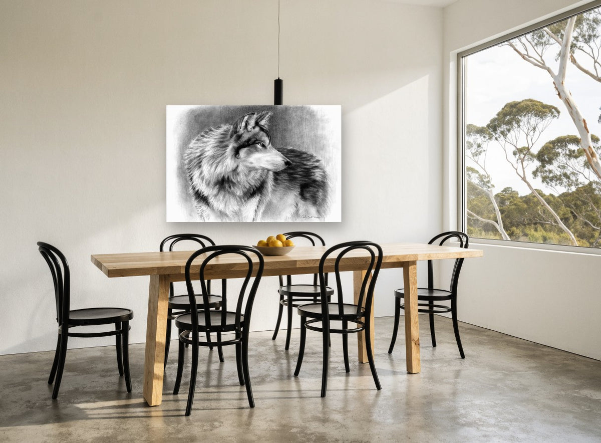 Silvered Wolf Backward Glance animal canvas print on the wall of a dining room