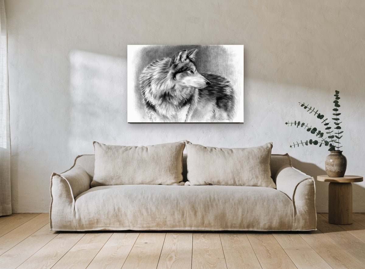 Silvered Wolf Backward Glance animal canvas print on the wall of a living room