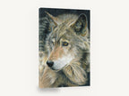 Watchful Amber Wolf, grey wolf portrait drawing, animal canvas wall art print ready to hang