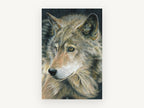 Watchful Amber Wolf, grey wolf portrait drawing, animal canvas wall art print, front view