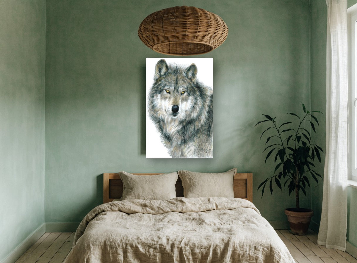 Amber Eyed Wolf animal canvas print on the wall of a bedroom