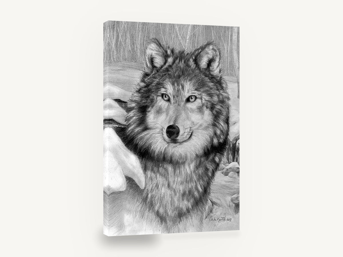 Watchful Winter Wolf, wolf portrait pencil drawing snow, landscape canvas wall art print ready to hang