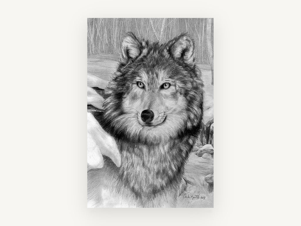 Watchful Winter Wolf, wolf portrait pencil drawing snow, landscape canvas wall art print, front view