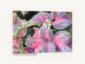 Coleus Leaves in Pink, pink coleus leaves coloured pencil, floral canvas wall art print ready to hang