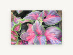 Coleus Leaves in Pink, floral canvas wall art print, front view