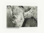 Rhino Mother and Calf, rhino and calf pencil drawing, animal canvas wall art print ready to hang