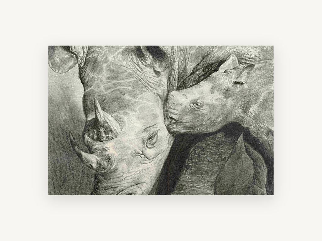Rhino Mother and Calf, rhino and calf pencil drawing, animal canvas wall art print, front view