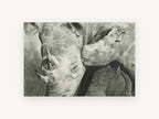 Rhino Mother and Calf, rhino and calf pencil drawing, animal canvas wall art print, front view