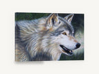 Pine Shadow Wolf, timber wolf coloured pencil portrait, animal canvas wall art print ready to hang
