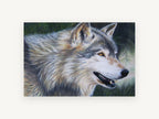 Pine Shadow Wolf, timber wolf coloured pencil portrait, animal canvas wall art print, front view