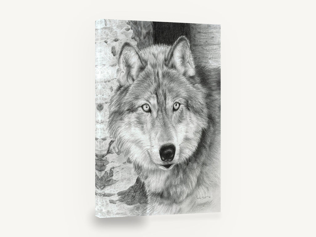 Silver Wolf Timber Watcher, wolf pencil drawing portrait, animal canvas wall art print ready to hang