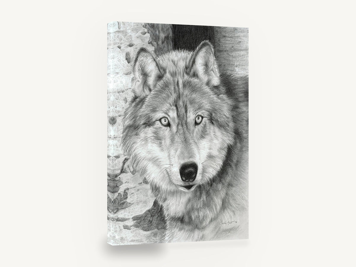 Silver Wolf Timber Watcher, wolf pencil drawing portrait, animal canvas wall art print ready to hang