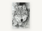 Silver Wolf Timber Watcher, wolf pencil drawing portrait, animal canvas wall art print, front view