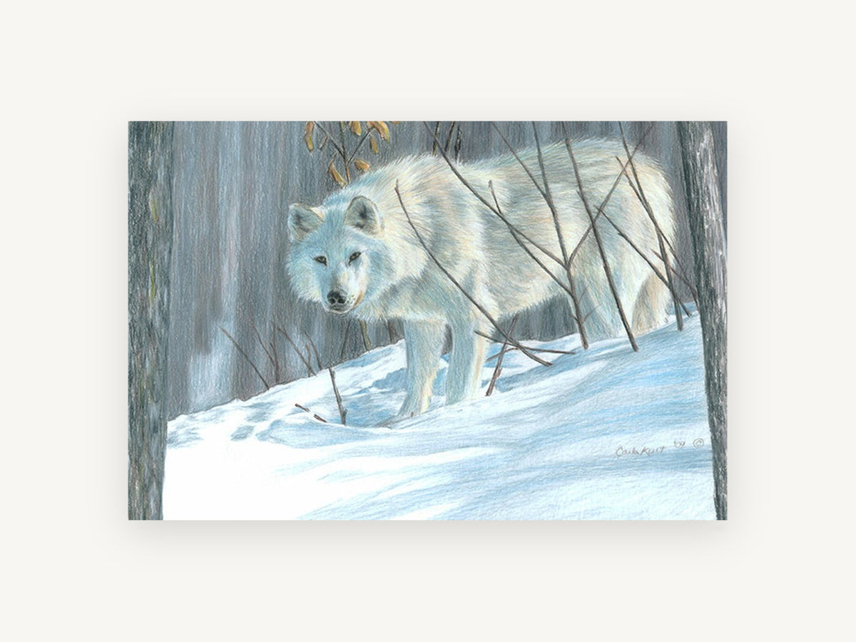 White Wolf in Snow, white wolf winter forest drawing, landscape canvas wall art print, front view