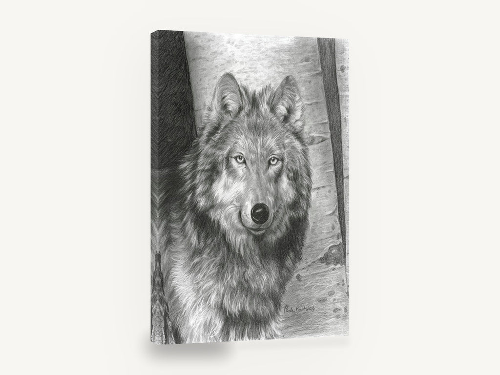 Birch Wood Wolf, wolf pencil drawing portrait, animal canvas wall art print ready to hang