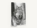 Birch Wood Wolf, wolf pencil drawing portrait, animal canvas wall art print ready to hang