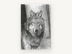 Birch Wood Wolf, wolf pencil drawing portrait, animal canvas wall art print, front view