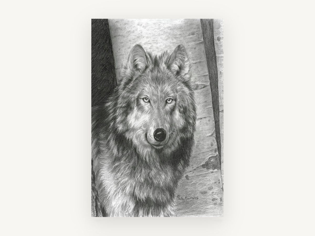 Birch Wood Wolf, wolf pencil drawing portrait, animal canvas wall art print, front view