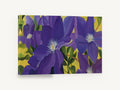 Purple Clematis Garden, purple clematis flowers yellow background, floral canvas wall art print ready to hang