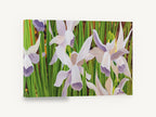 Lilac Daffodils in Green, lilac daffodils floral painting green, floral canvas wall art print ready to hang