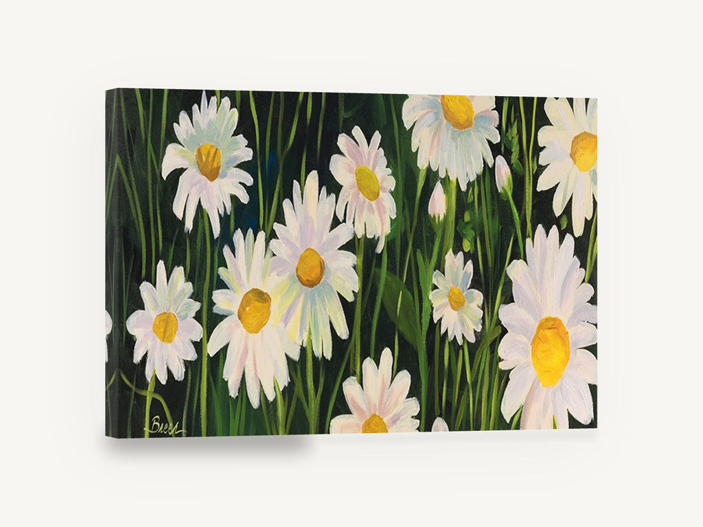 Daisies in Dark Grass, white daisies floral painting dark green, floral canvas wall art print ready to hang