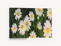 Daisies in Dark Grass, white daisies floral painting dark green, floral canvas wall art print ready to hang